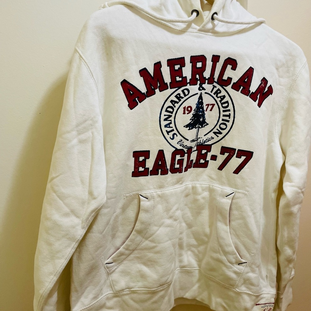 Vintage AE 77 American Eagle Hoodie it has some stains but in good condition